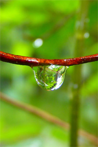 Wassertropfen