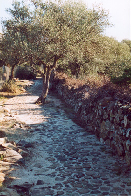 Baum2